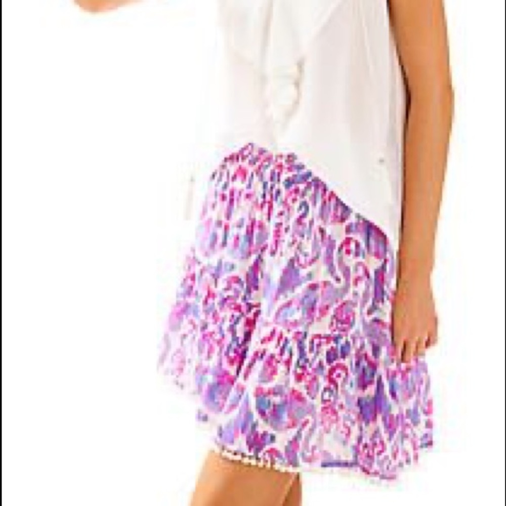 Lilly Pulitzer Evelyn Beach Bathers Skirt Size S - Picture 3 of 10